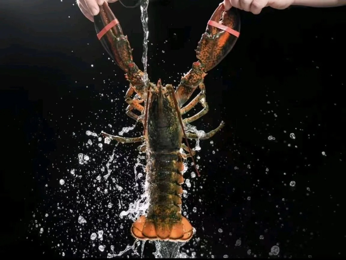 惠州海鲜